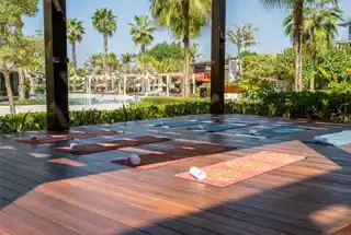 Open Air Yoga at Danube Breez